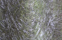 Old Radnor fibreglass roof work